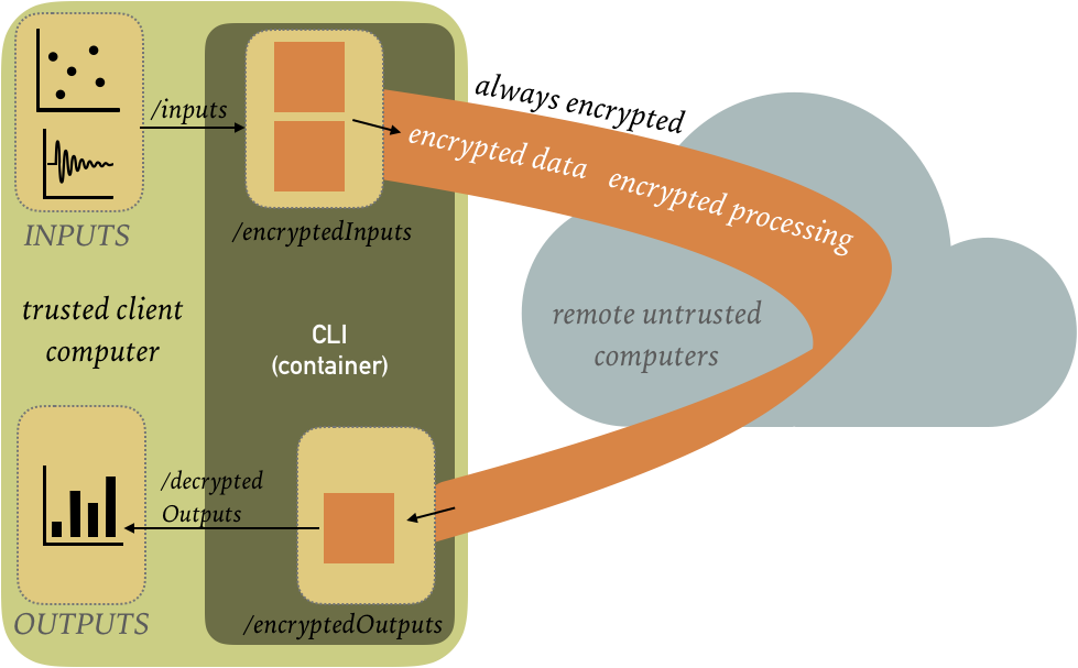 execute: single step secure remote execution
